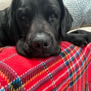 Meet your Posher, Brendan